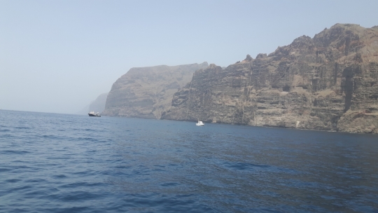 Los Gigantes